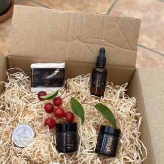 Christmas gift box